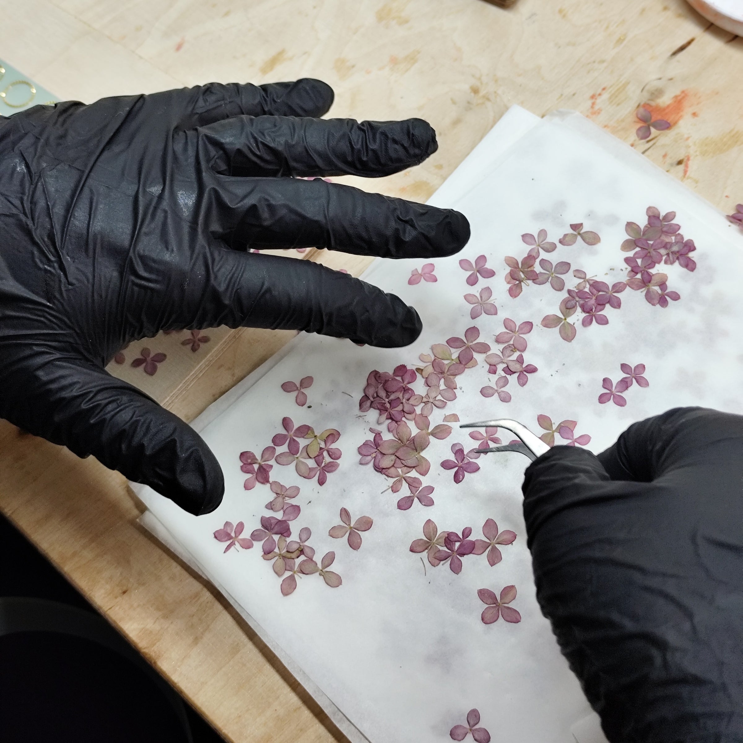 Hände mit schwarzen Handschuhen ordnen kleine violette Hortensienblüten für die Verarbeitung in handgefertigtem Resin-Schmuck.