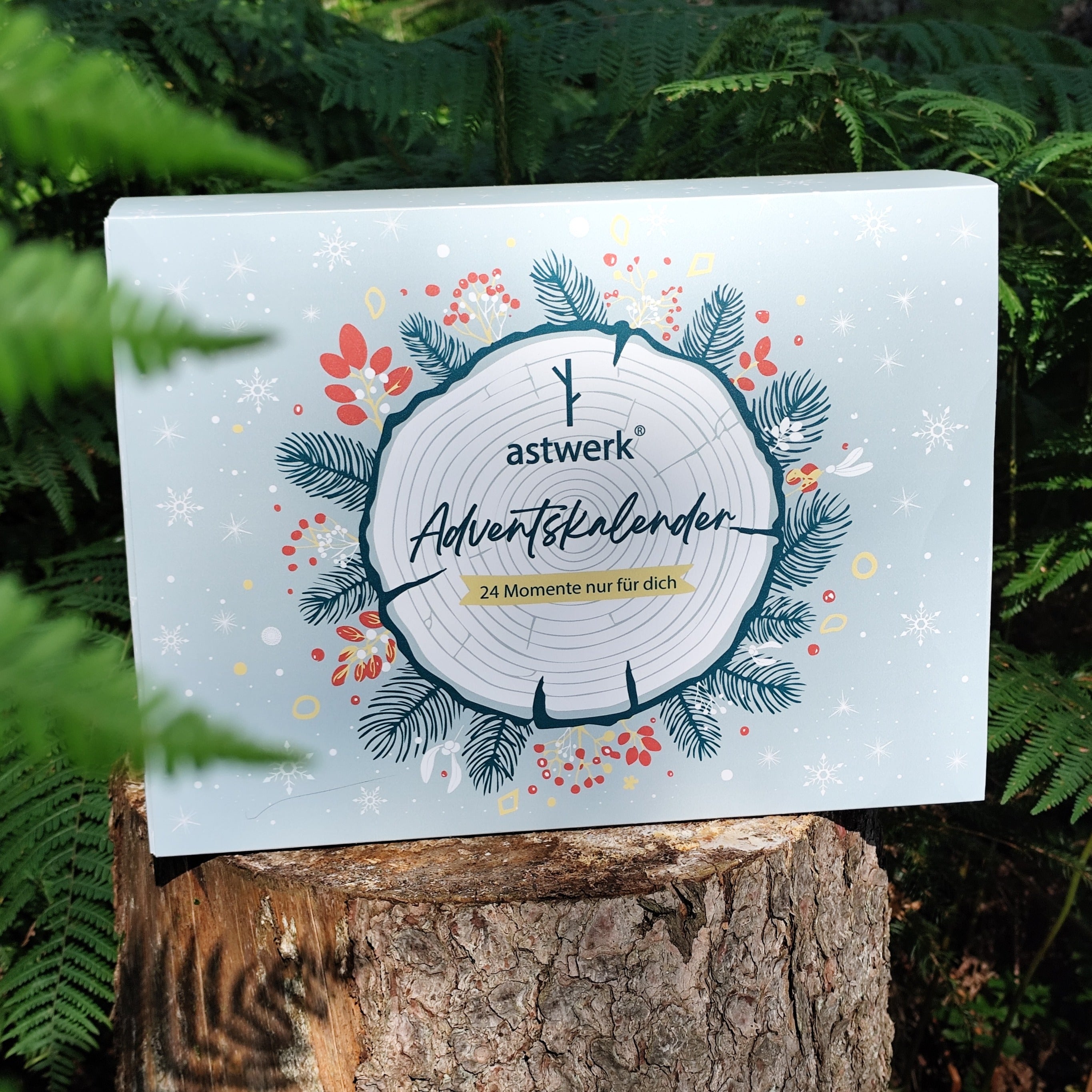 "astwerk® Adventskalender 2026"