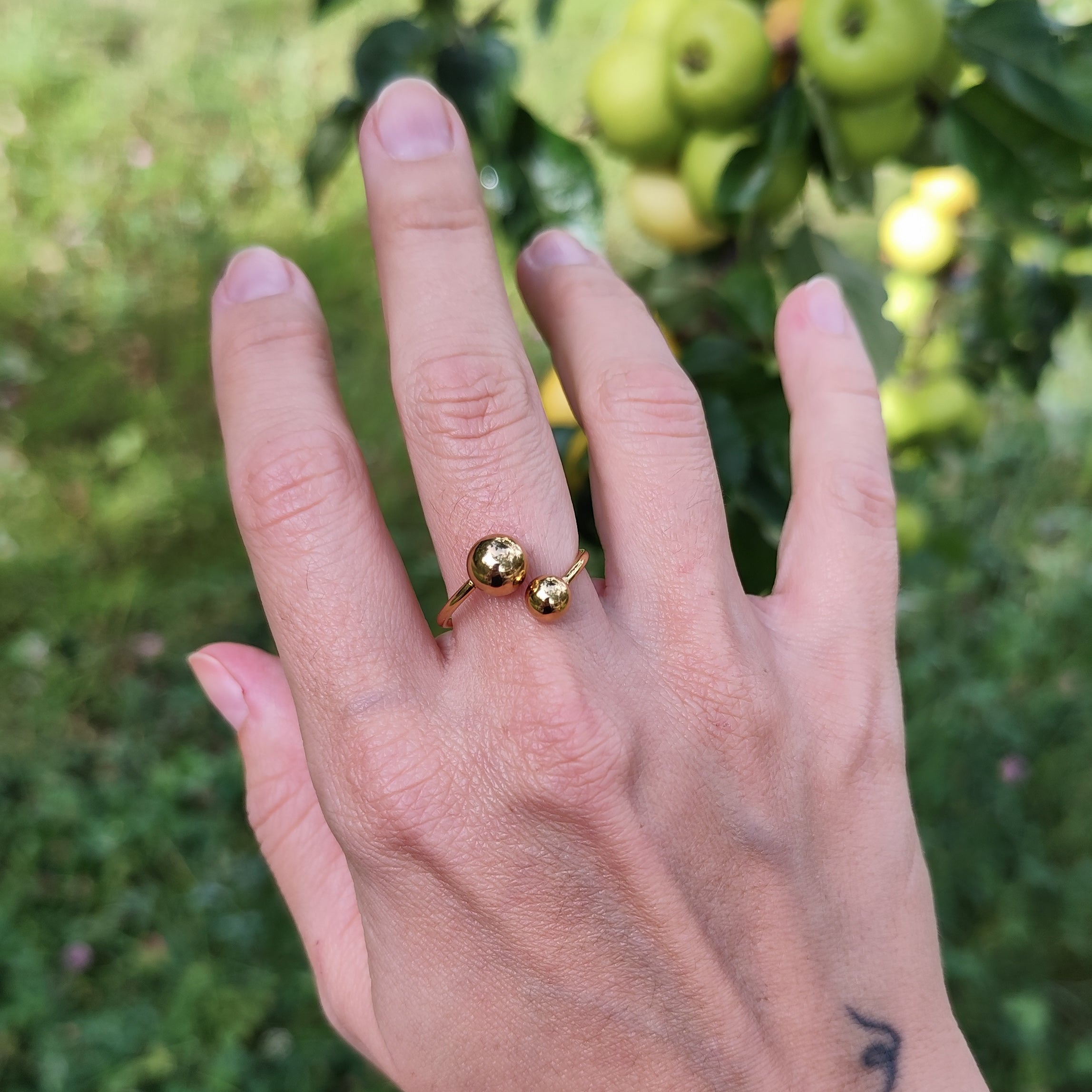 Ring &