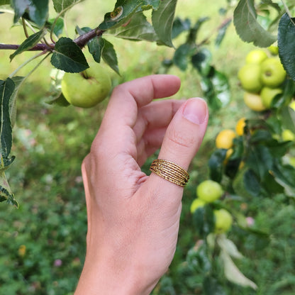 Ring &