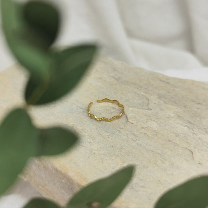Ring &