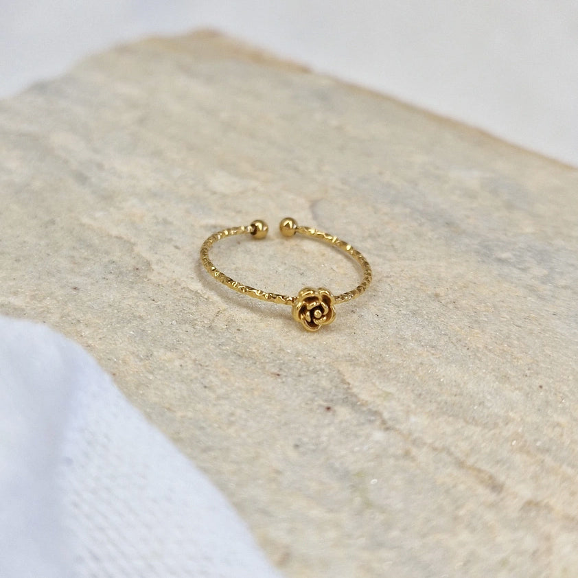 Ring &